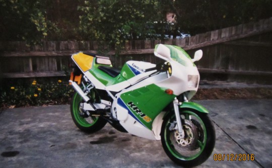 1989 Kawasaki KR1S