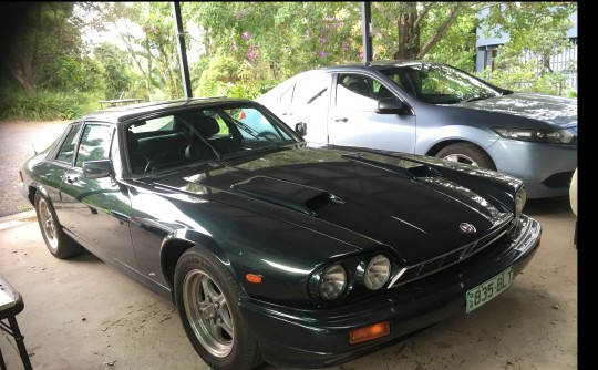 1984 Jaguar XJS H.E.