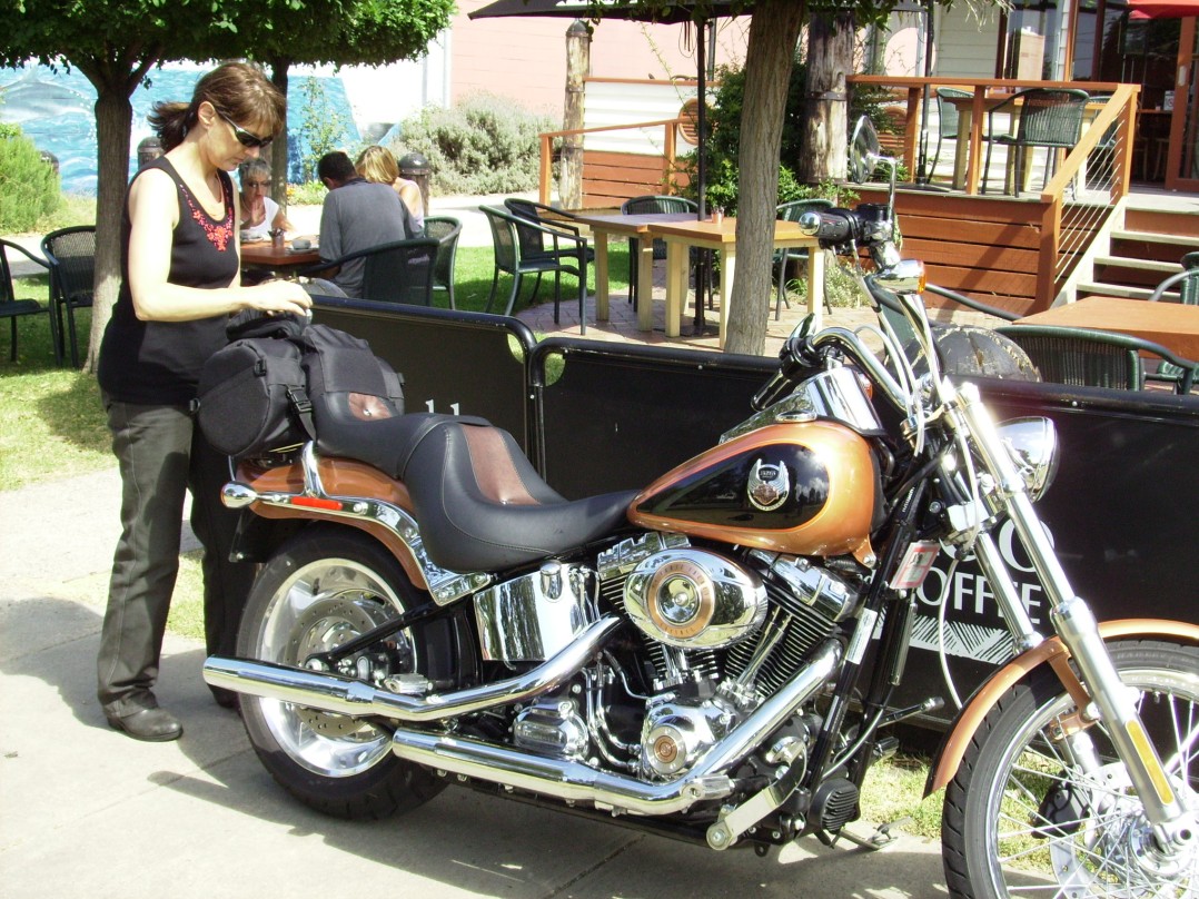 2008 Harley-Davidson Custom Softail