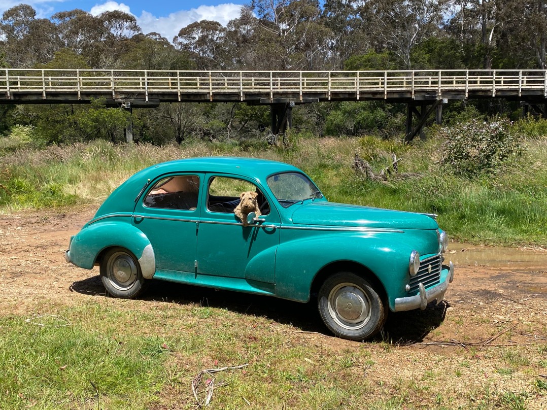 1956 Peugeot 203C