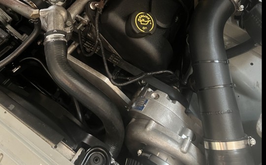 2006 Ford FALCON