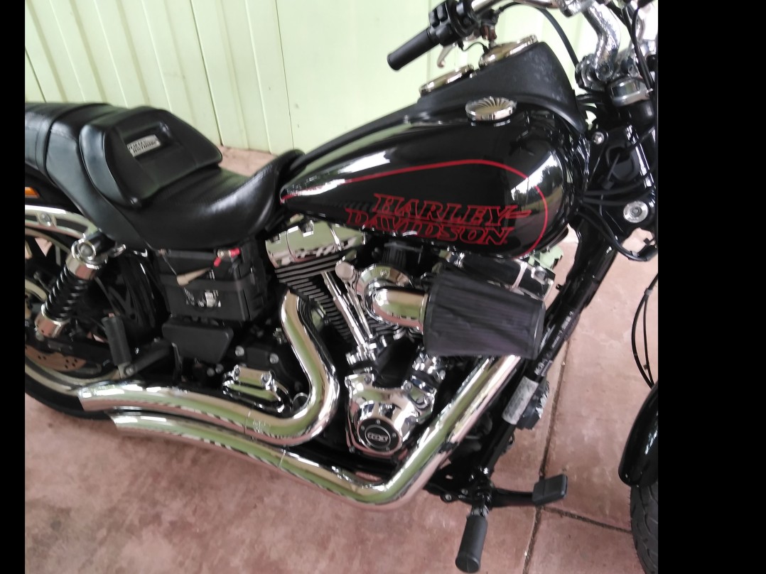 2015 Harley-Davidson 1584cc FXDL DYNA LOW RIDER