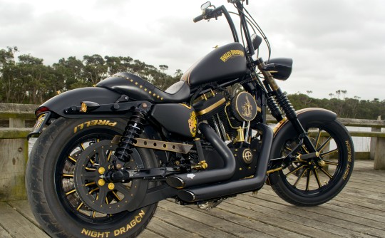 2010 Harley-Davidson Sportster Iron
