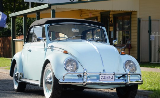 1965 Volkswagen BEETLE CABRIOLET