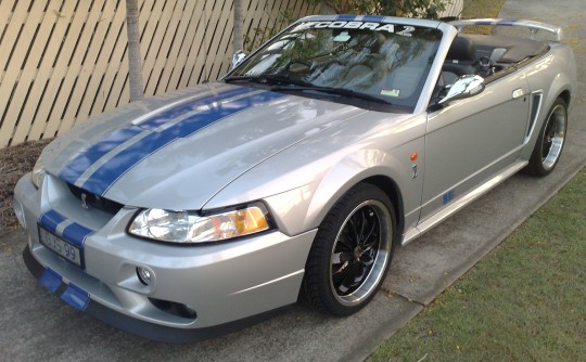 2001 Ford MUSTANG COBRA