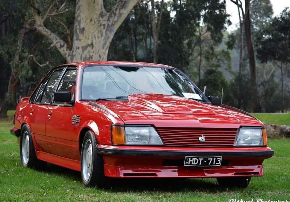 1982 Holden Dealer Team VH group 3