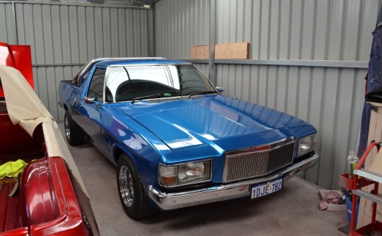 1980 Holden WB
