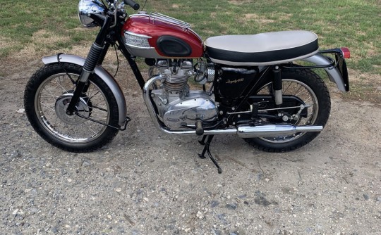 1964 Triumph 650 Trophy