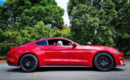 2019 Ford MUSTANG