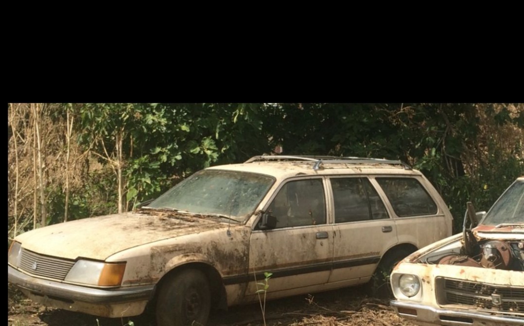 1983 Holden Vh