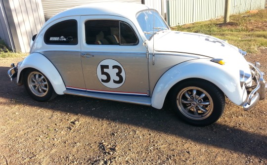 1964 Volkswagen bettle