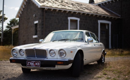 1983 Jaguar XJ6 Series III