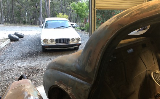 1983 Jaguar XJ6 Series III