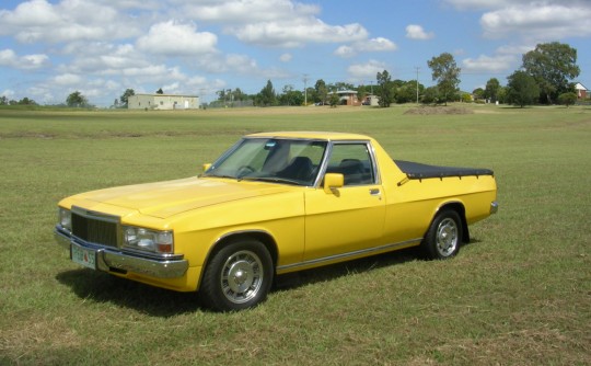 1984 Holden W.B.