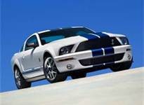 2008 Ford Mustang Shelby GT500 "for sale "