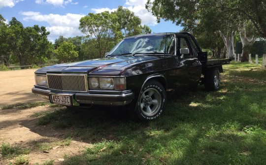 1984 Holden WB 1 Tonner