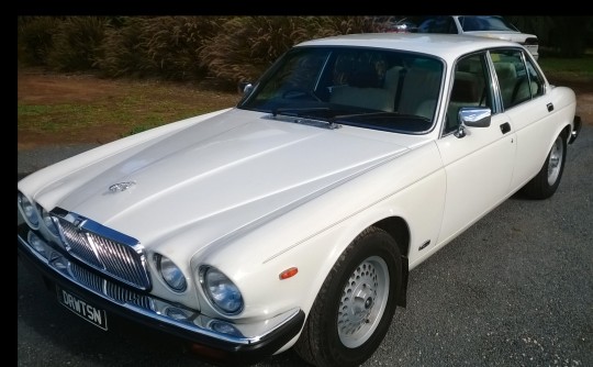 1985 Jaguar XJ6 Sovereign