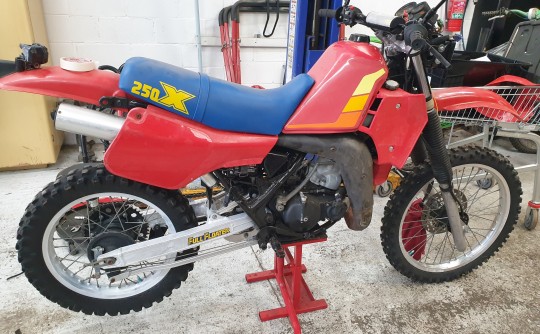 1984 Suzuki 249cc TS250X