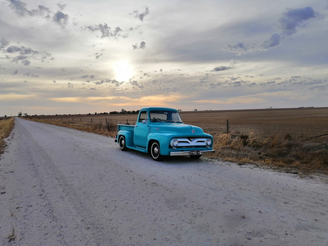 1955 Ford F100