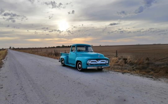 1955 Ford F100