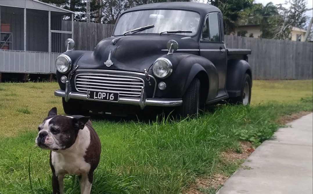 1965 Morris Minor