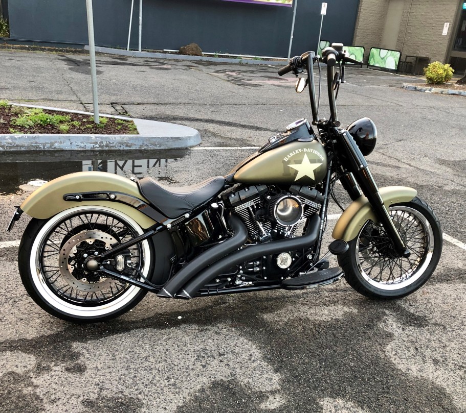 softail slim mini apes