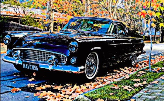 1956 Ford Thunderbird