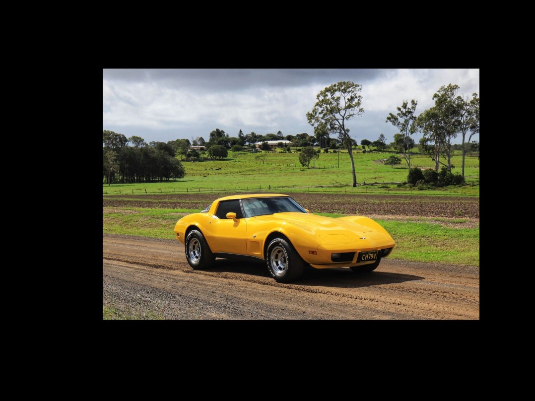 1979 Chevrolet corvette