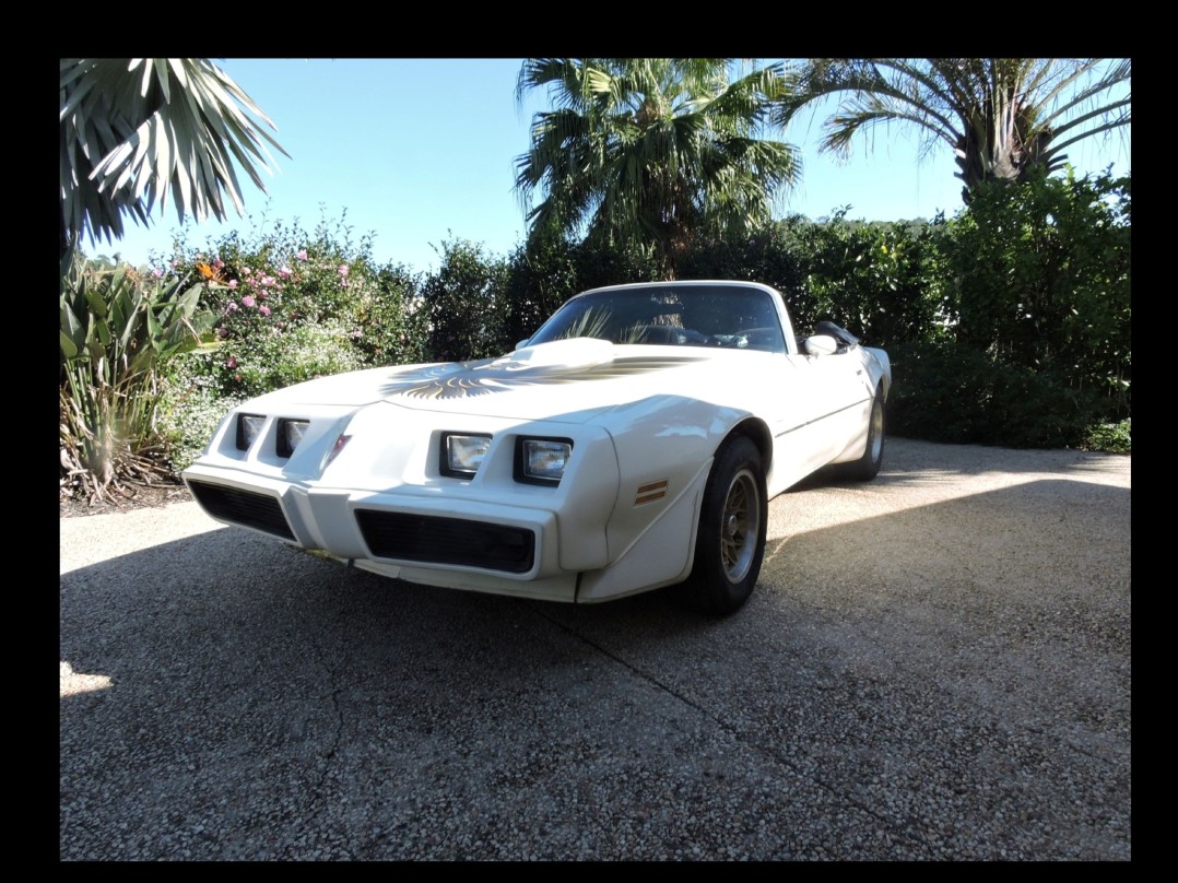 1979 Pontiac Trans Am