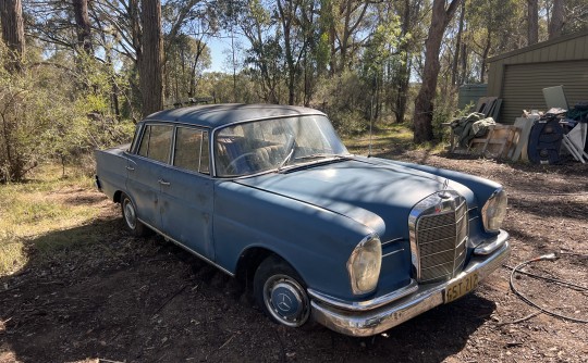 1962 Mercedes-Benz W111 220Sb