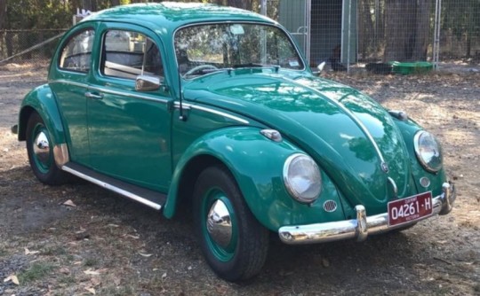 1959 Volkswagen beetle