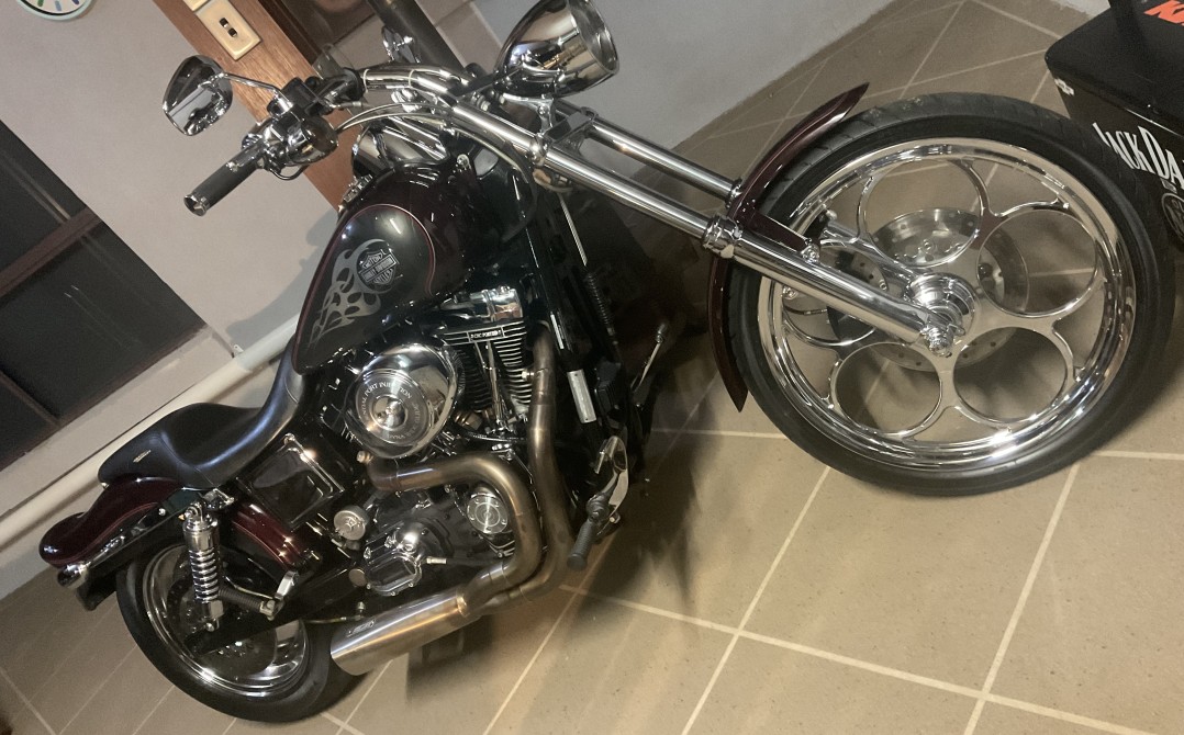 2005 Harley-Davidson FXDWG/I