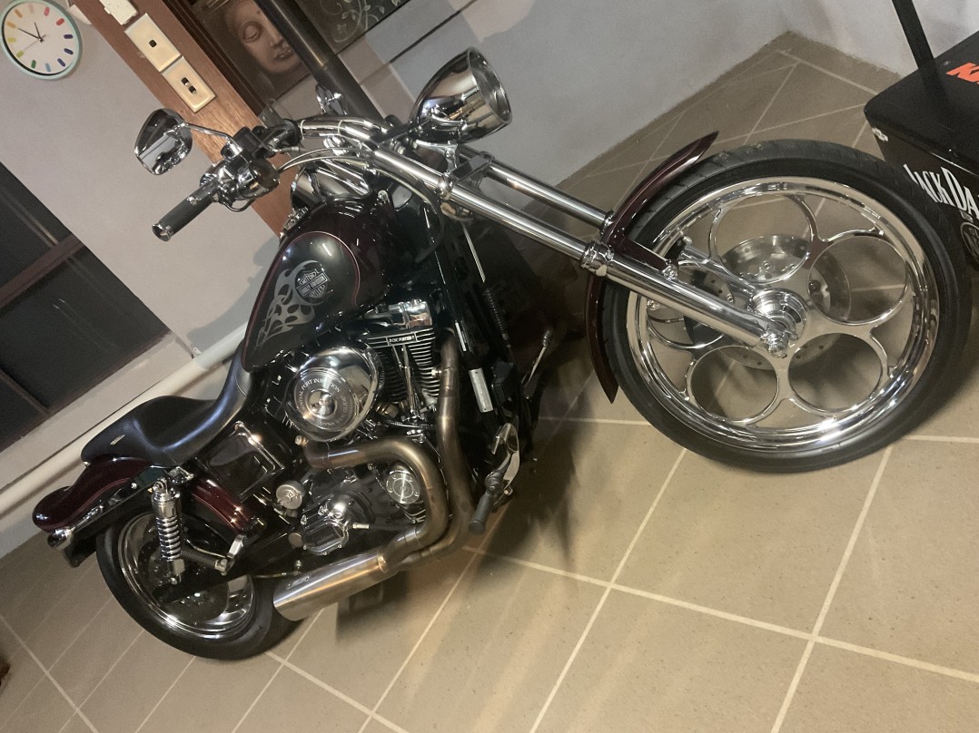 2005 Harley-Davidson FXDWG/I