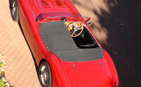 1954 Austin Healey 100