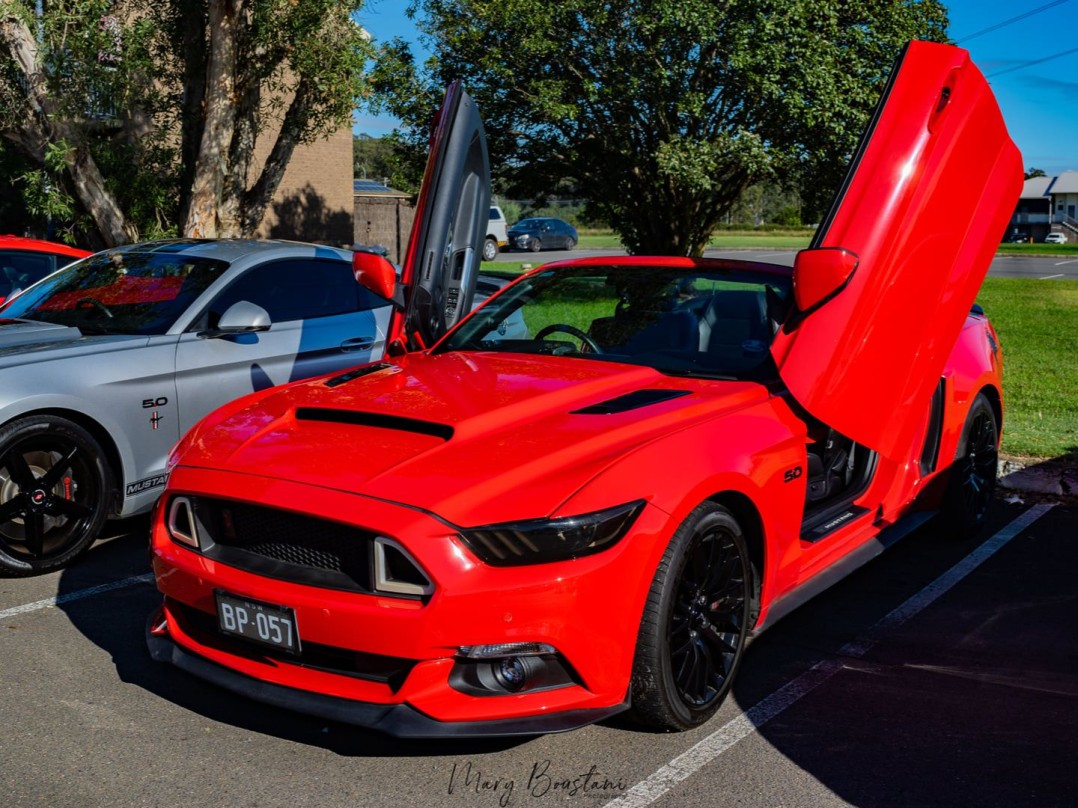 2017 Ford MUSTANG COYOTE