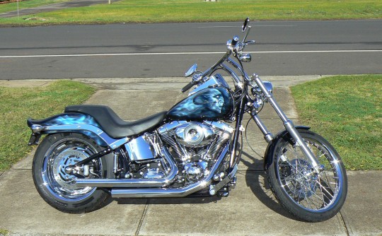 2008 Harley-Davidson softail