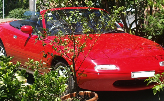 1989 Mazda MX5