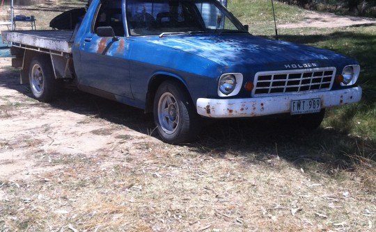 1975 Holden Hj