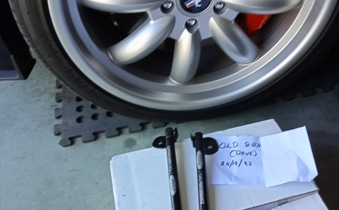 MUSTANG BONNET and STRUTS