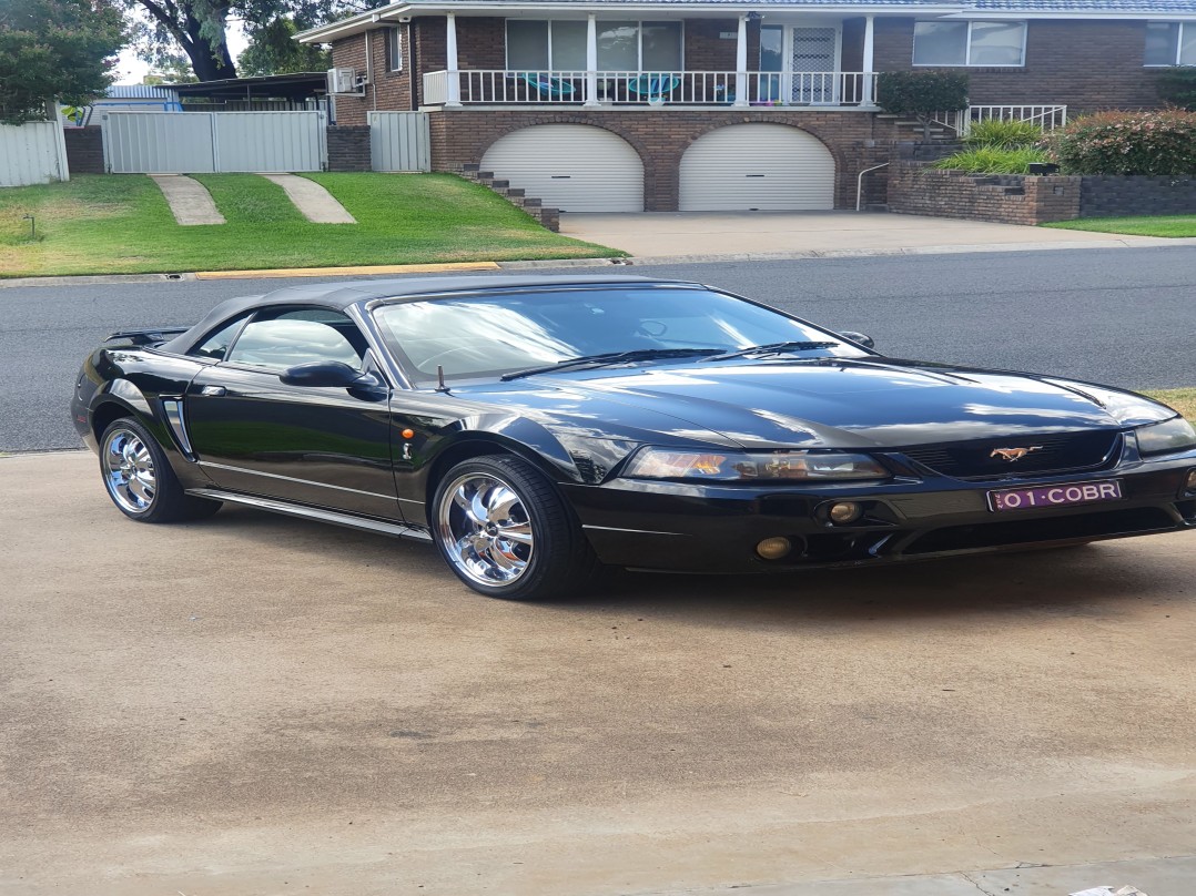 2001 Mustang Cobra