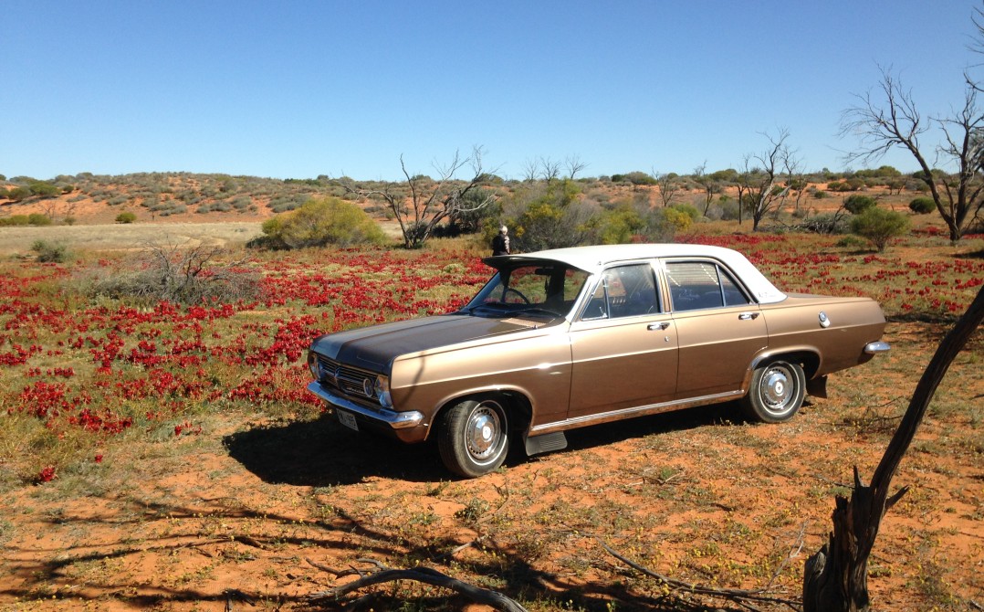 1967 Holden 1967 HR Premier