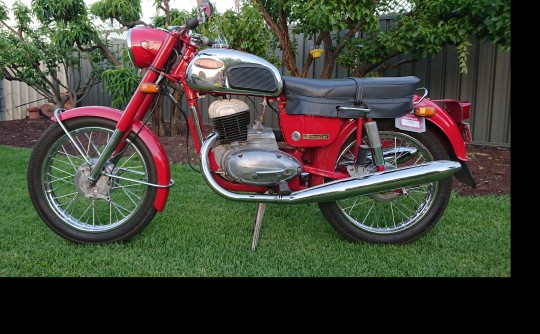 1971 Jawa Californian