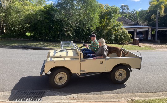 1955 Land Rover Series 1