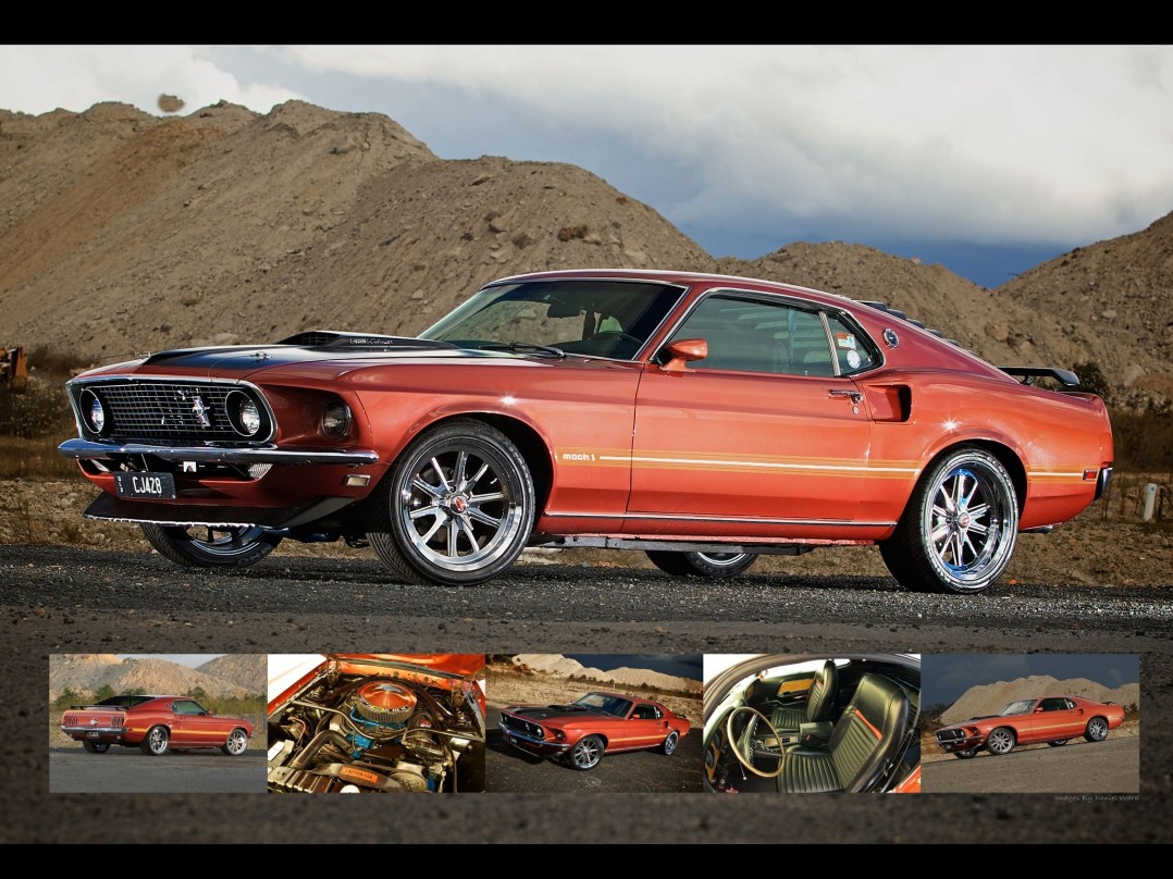 1969 Ford Performance Vehicles Mustang