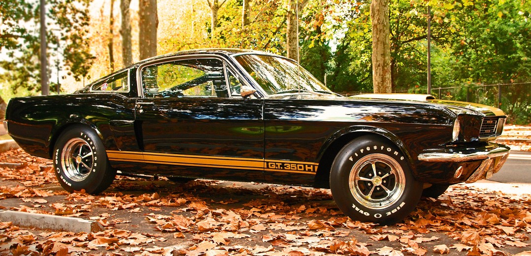 1966 Shelby GT350H