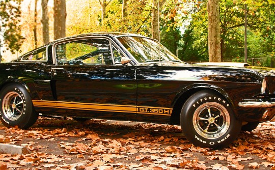 1966 Shelby GT350H