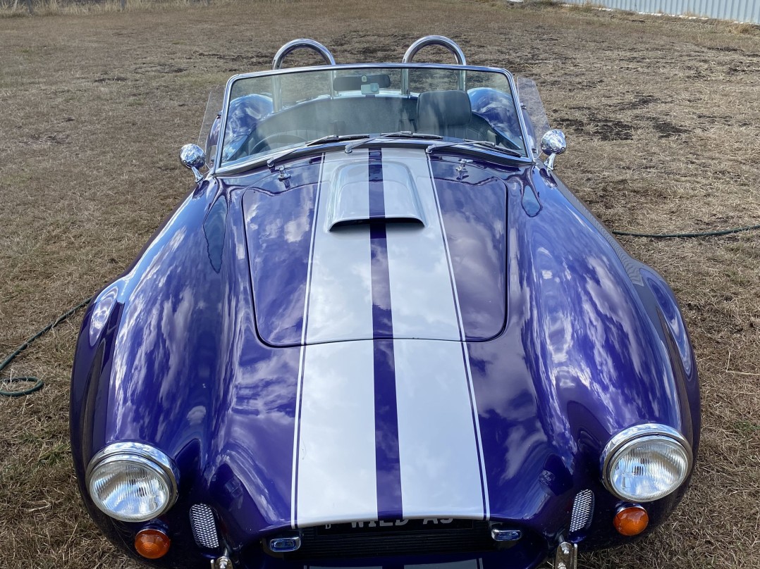2006 Ford Cobra
