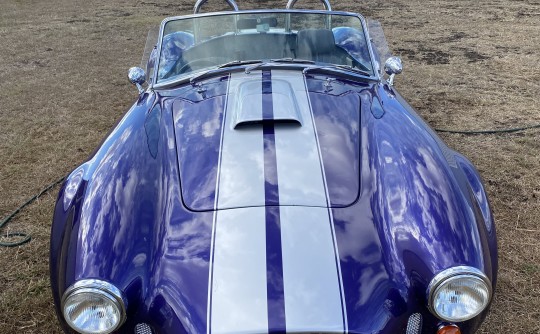 2006 Ford Cobra