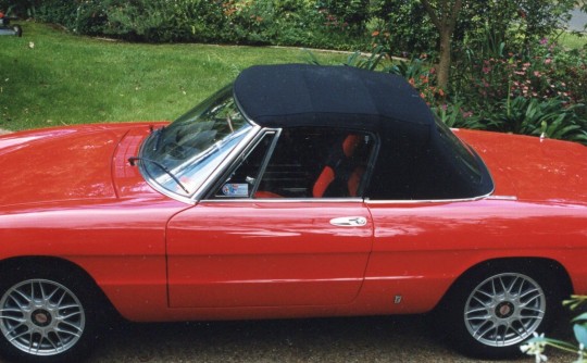 1972 Alfa Romeo Spyder