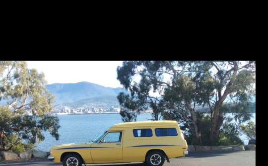 1979 Holden Special Vehicles HZ  panel van